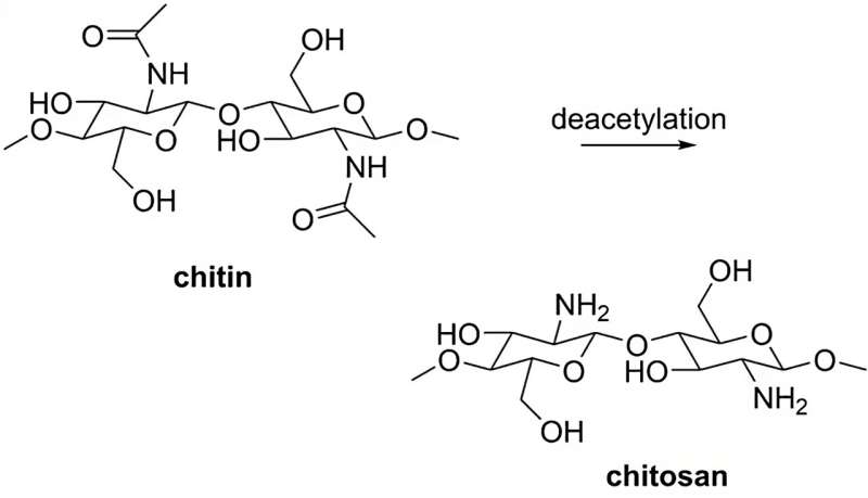 Chemists recycle shrimp waste as catalyst for hydrogen generation