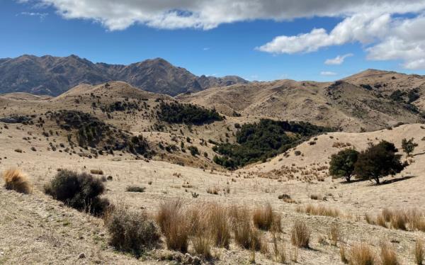 Sam Murray's drought-stricken farm near the Flaxbourne River, inland from Ward, Marlborough.